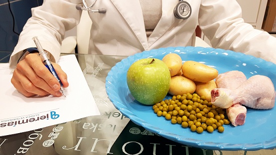 Pack Regalo Navidad Mascota. Reconocimiento